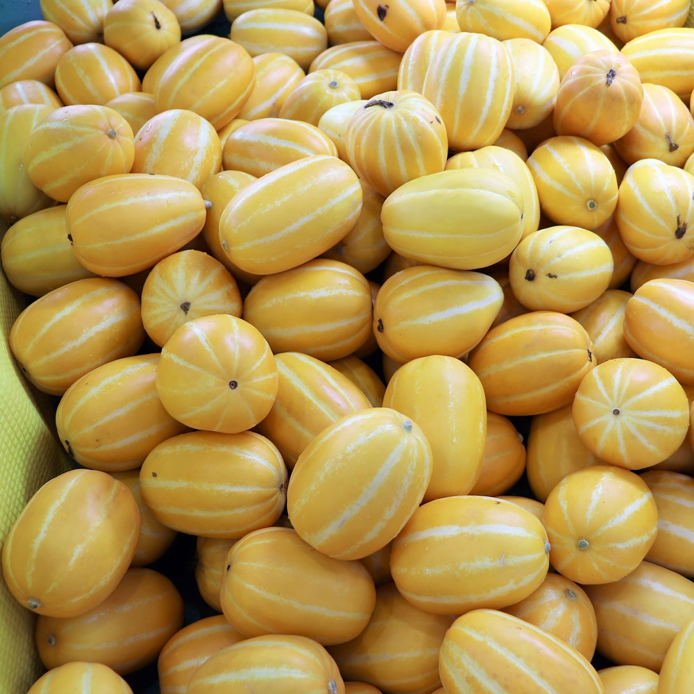 참외 성주 가정용 못난이 5kg, 1개 - 상세 이미지 4