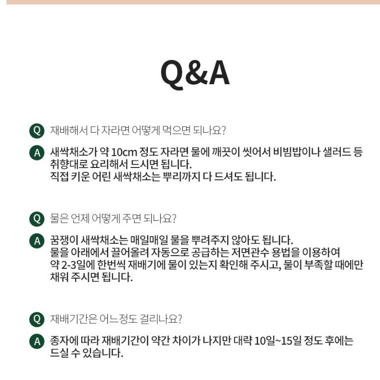 식물 키우기 키트 무순 키우기 채소 야채 재배 새싹가든 - 상세 이미지 5