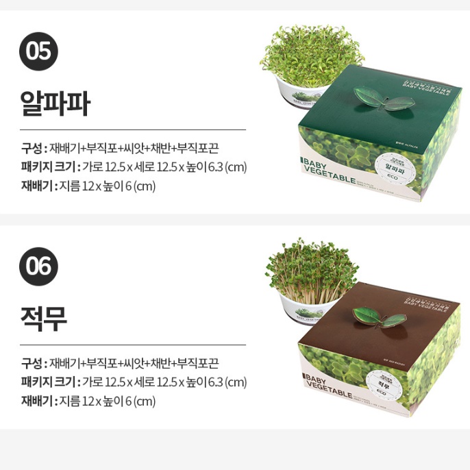 식물 키우기 키트 무순 키우기 채소 야채 재배 새싹가든 - 상세 이미지 2