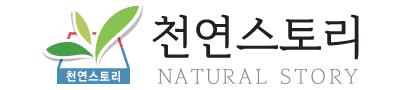 천연 스토리 임산부 멀티 활성엽산 1box 30포, 부부, 임신 준비, 초기, 남자 엽산제