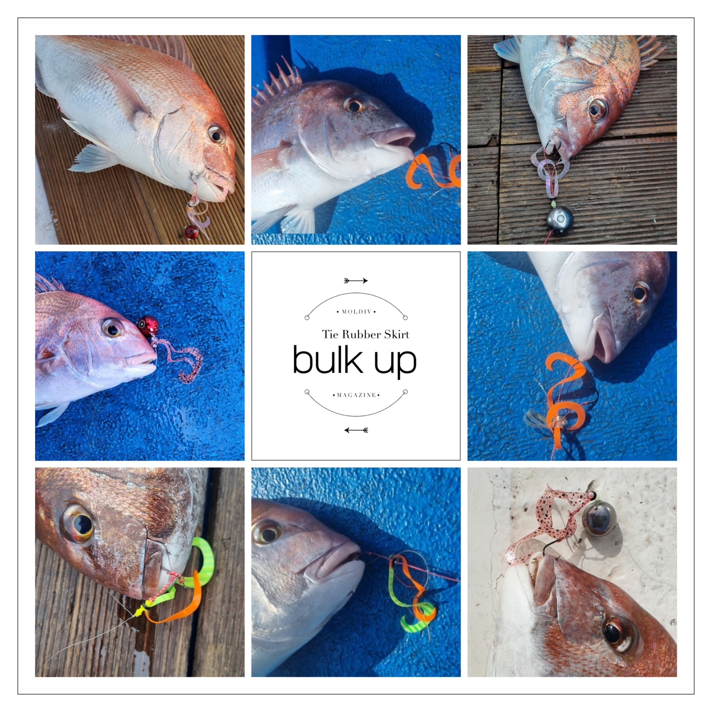 참바다 bulk up volume 타이라바 스커트 타이라바 자작용품 참돔채비 - 상세 이미지 2