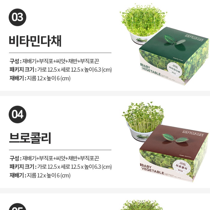 식물 키우기 키트 무순 키우기 채소 야채 재배 새싹가든 - 상세 이미지 3