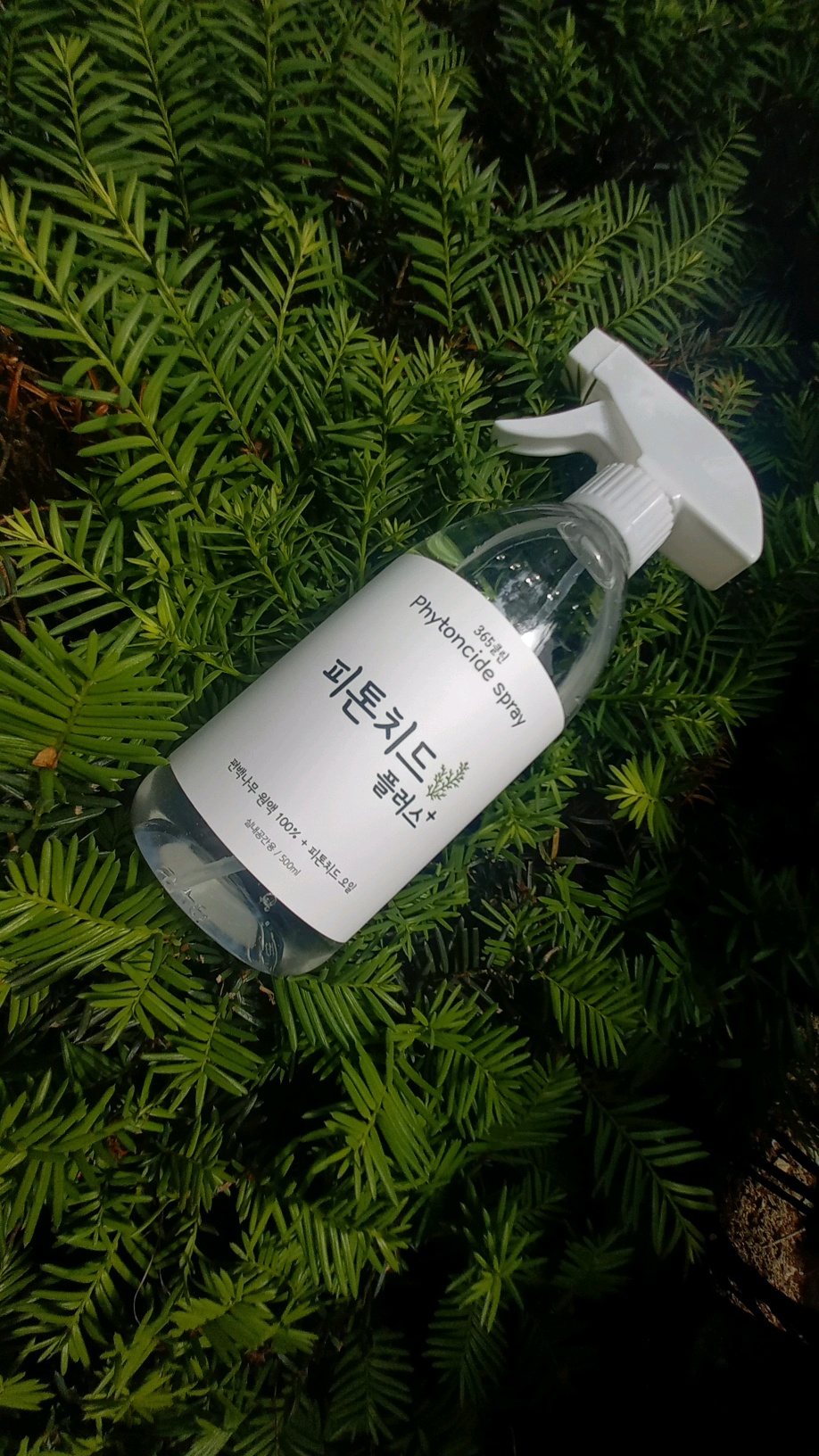 새집증후군 편백나무 피톤치드 스프레이 원액 365클린 500ml 새차 새가구냄새 침대 집먼지 퇴치제 퇴치약 - 상세 이미지 2