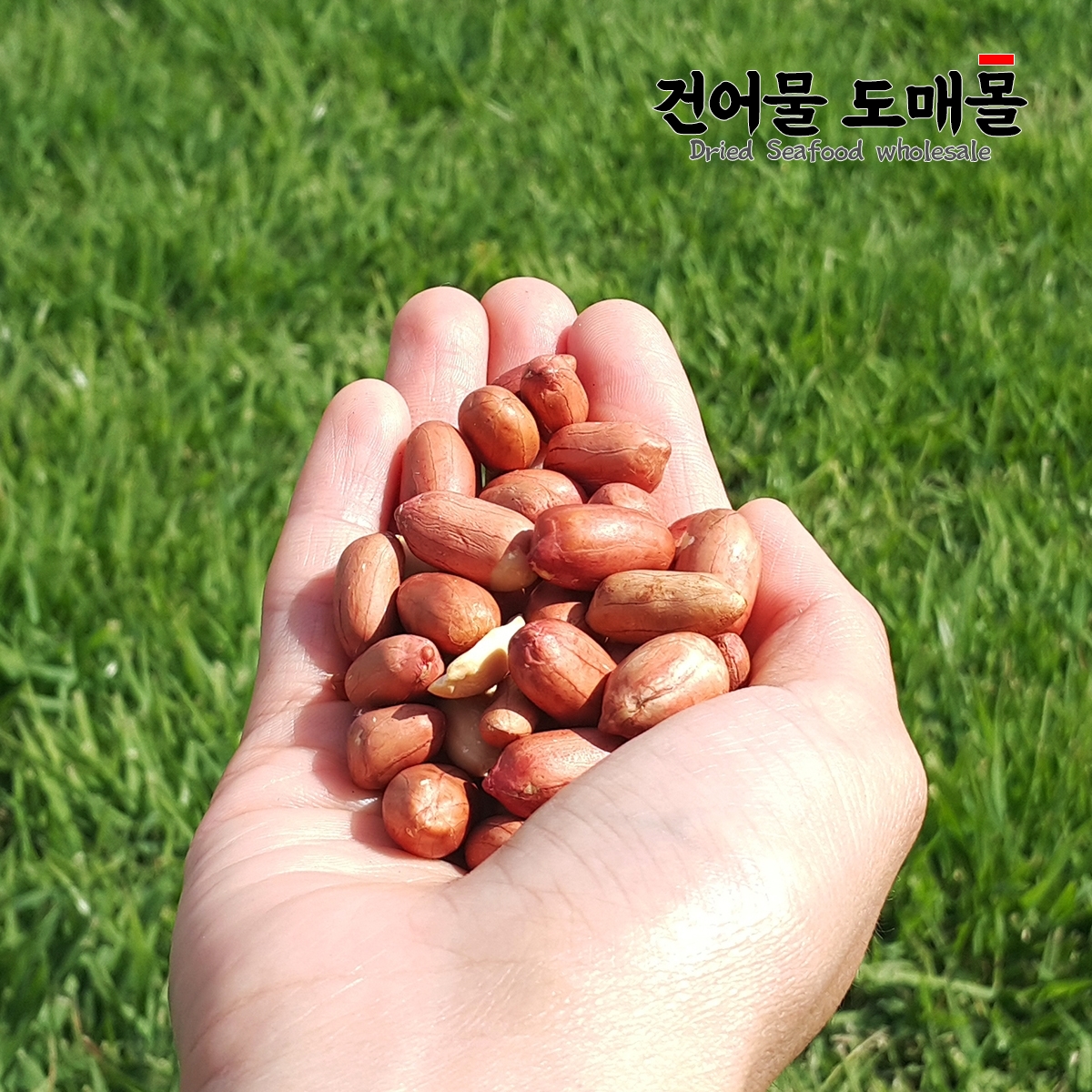 국내산 햇 볶음 땅콩 500g - 상세 이미지 5