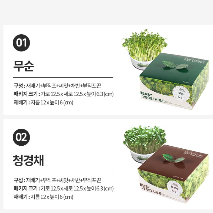 식물 키우기 키트 무순 키우기 채소 야채 재배 새싹가든 - 상세 이미지 4
