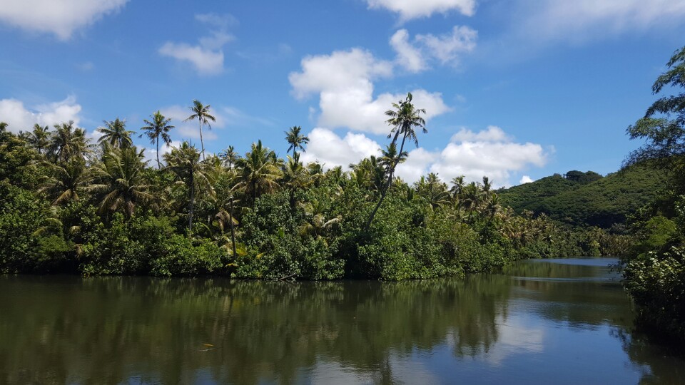 [괌] 정글 리버크루즈 괌 정글 투어 액티비티 원주민 체험 가족여행 패키지 완납