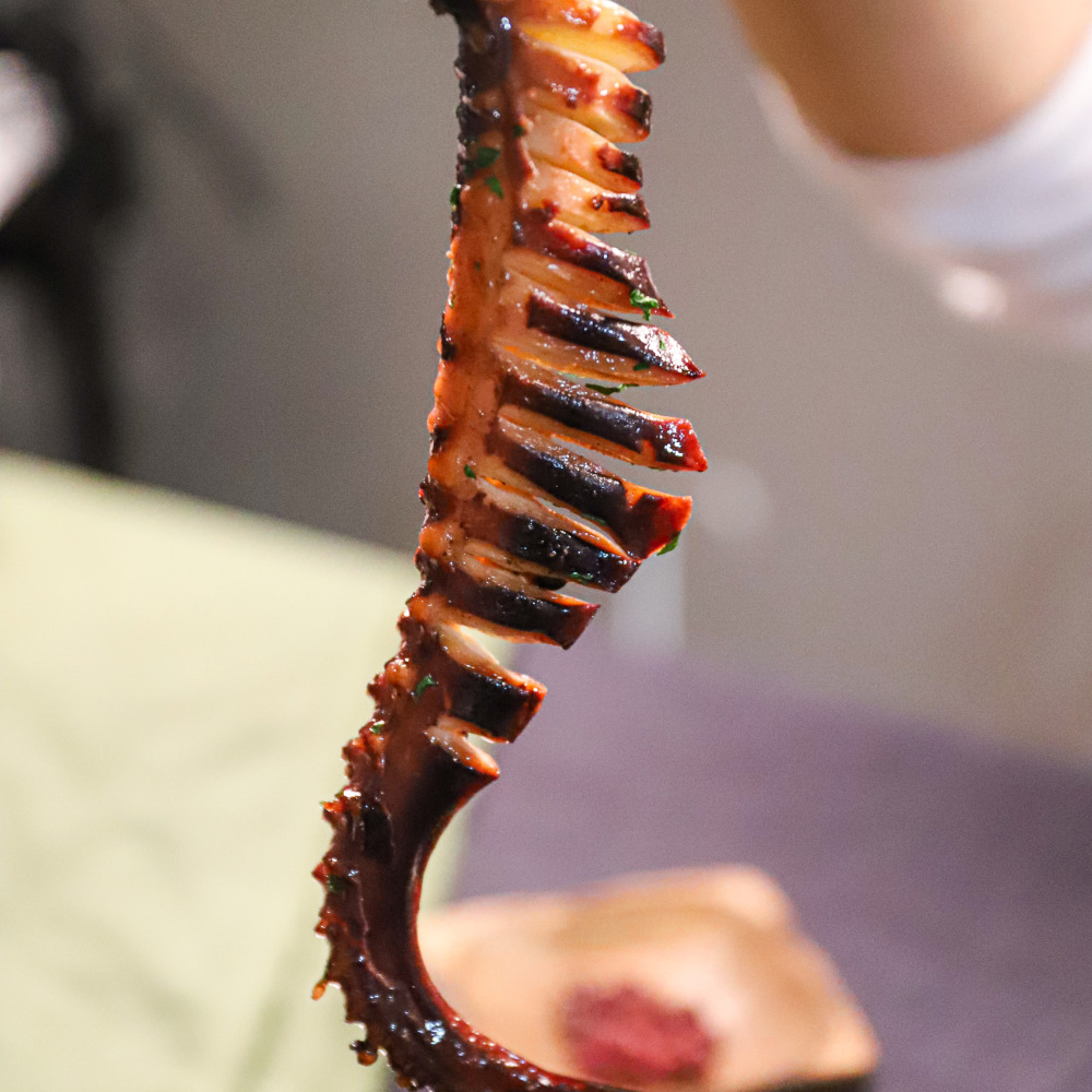 가문어 통족 10kg 건어물도매 대용량 - 상세 이미지 3