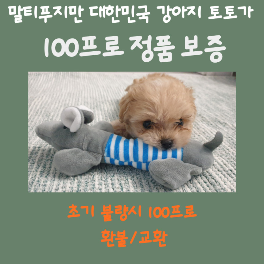 빌러벡 이미지