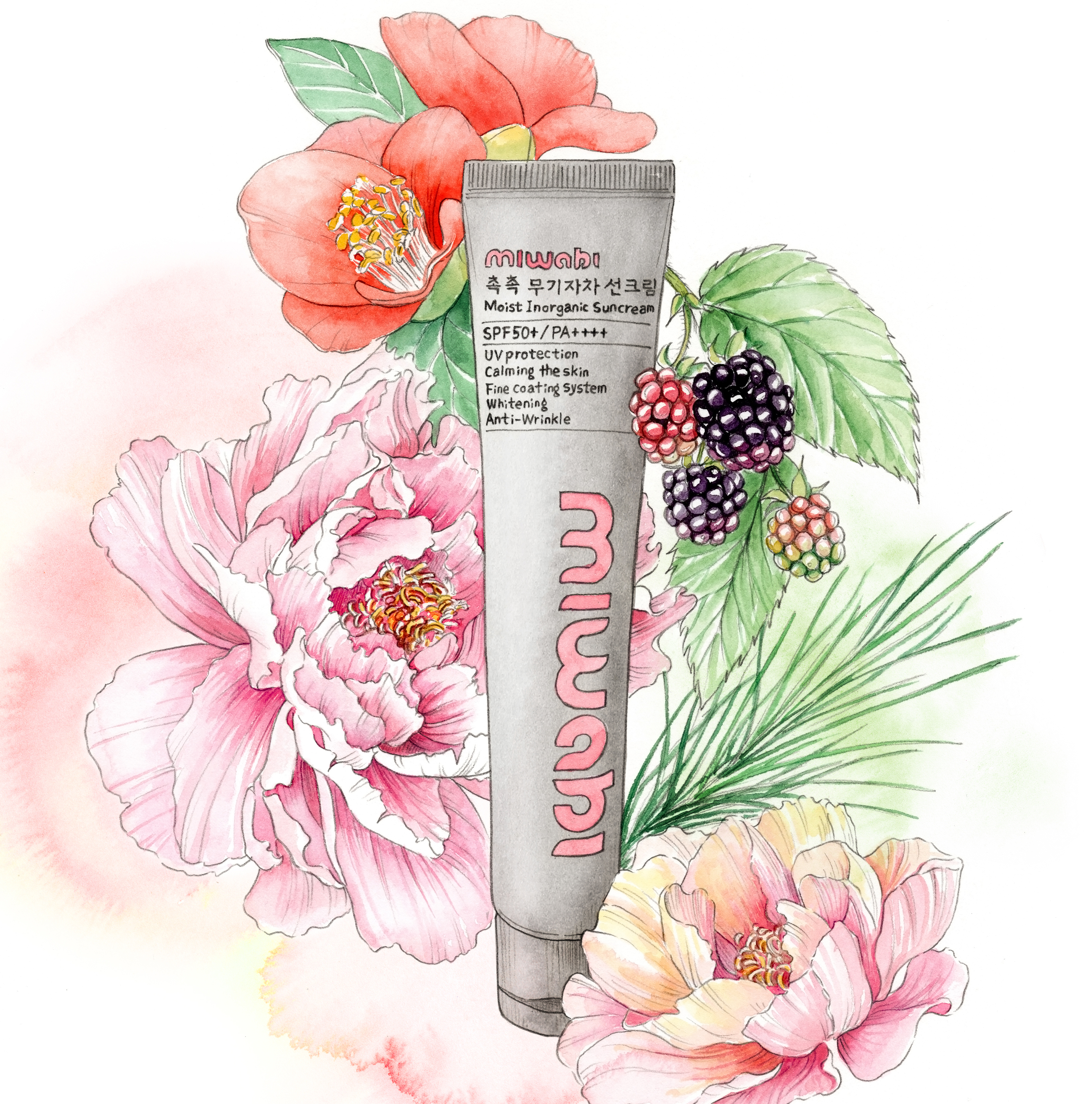 미와비 무기자차 선크림 눈시림 백탁없는 파데프리 톤업 썬크림 SPF50+ PA++++ - 상세 이미지 5