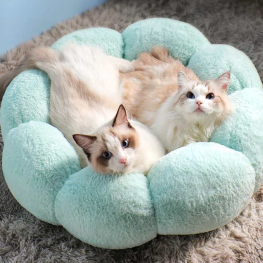 강아지 방석 고양이 마약 방석 애견 도넛 쿠션 침대 대형 꽃잎방석