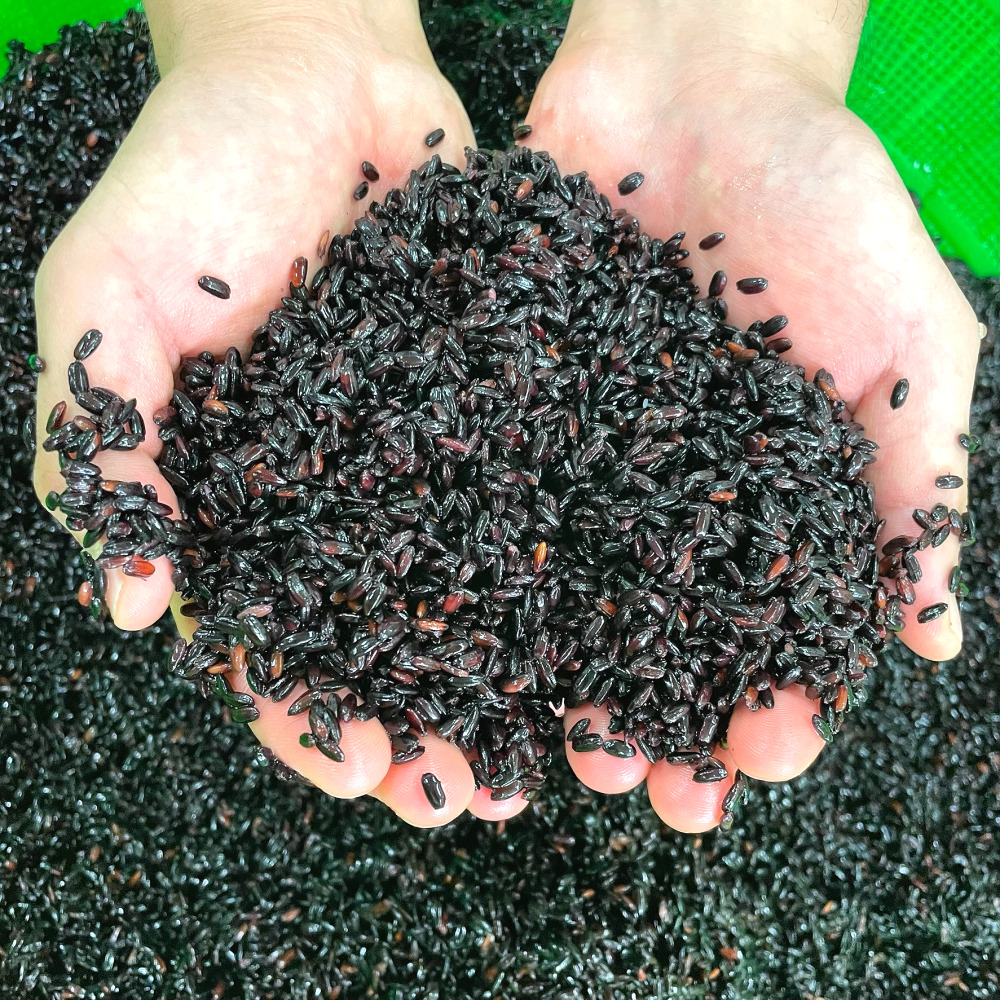 대월떡집 습식 흑미 찹쌀가루 국내산 1kg - 상세 이미지 2