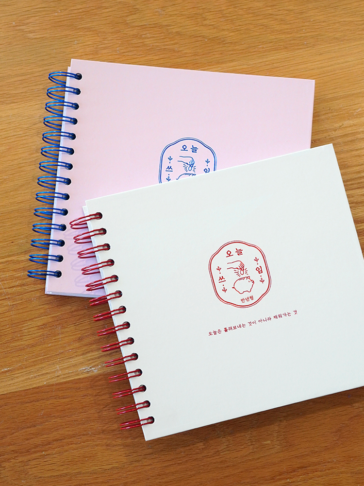 리훈 리뉴얼 오늘쓰임 가계부 용돈기입장 금전출납부 캐쉬북 만년