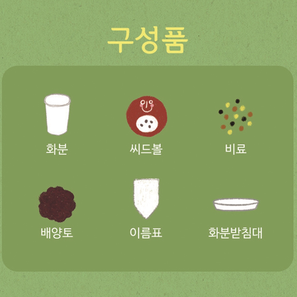 바질 씨드볼 키우기 유아관찰 재배키트 이름표 비료포함 이미지 6