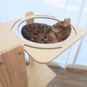 캣츠빌 아쭈타워 5층 스크래쳐 캣폴 원목 고양이 캣타워 발판구성 솔직 후기 | 실제 사용자 리뷰 총정리 - 상품 이미지 2