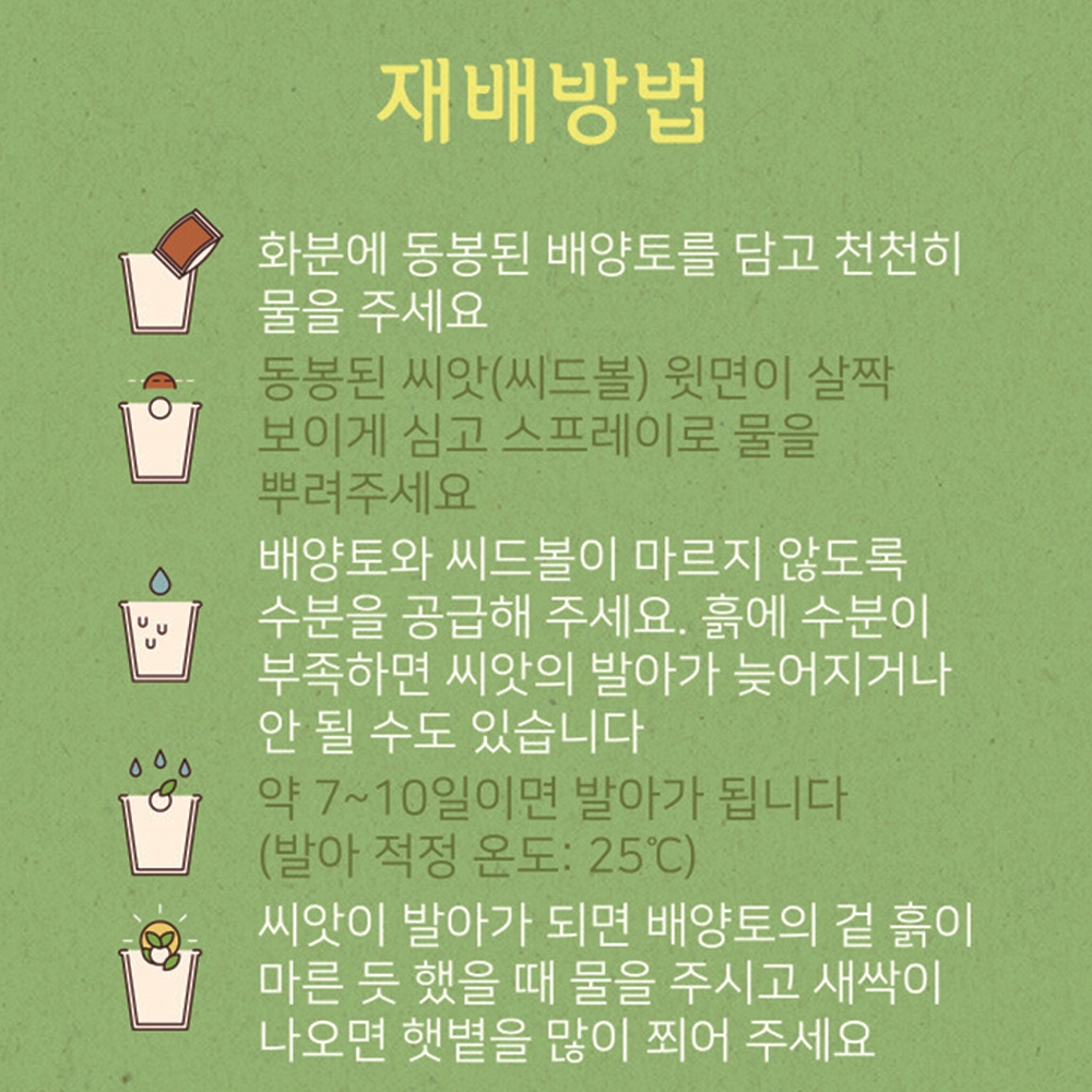 바질 씨드볼 키우기 유아관찰 재배키트 이름표 비료포함 이미지 7