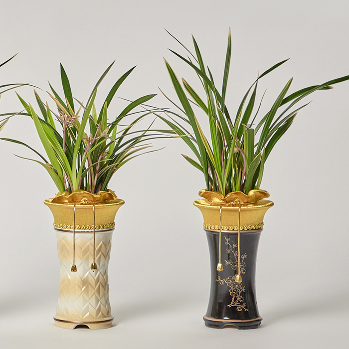 관엽식물 금전수 화환 승진 취임 동양난 서양란 만천홍 영전 축하 선물 개업화분 공기정화