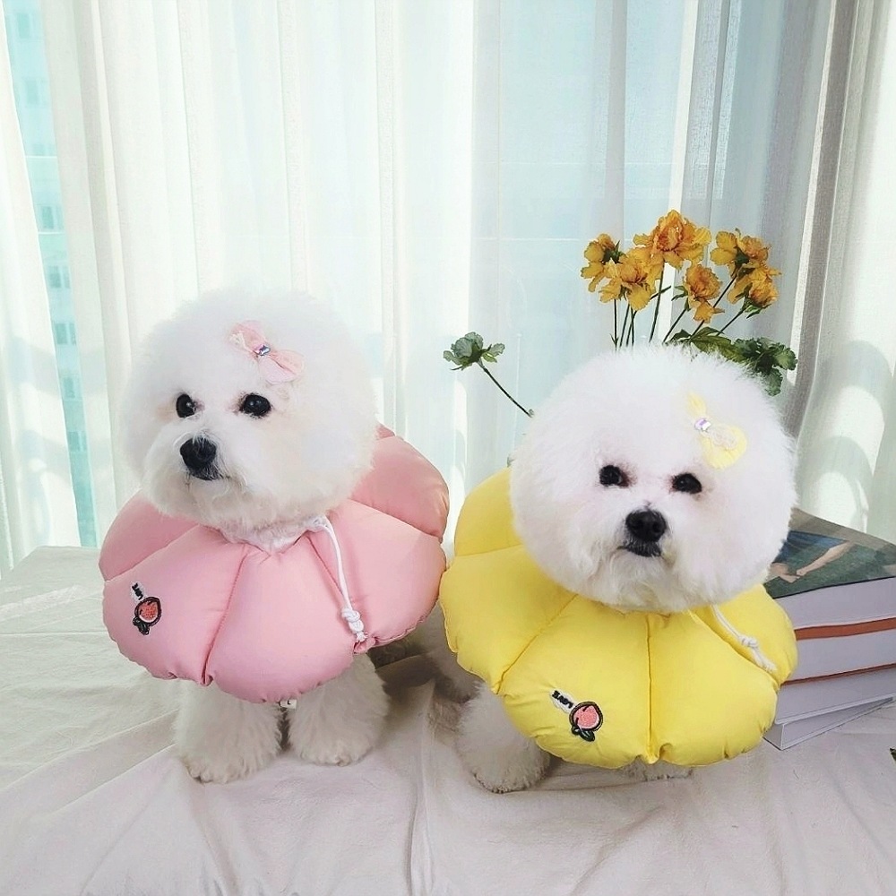 리치독스 강아지 넥카라 애견 고양이 깔대기 중성화 자수방수 S - 상품 이미지