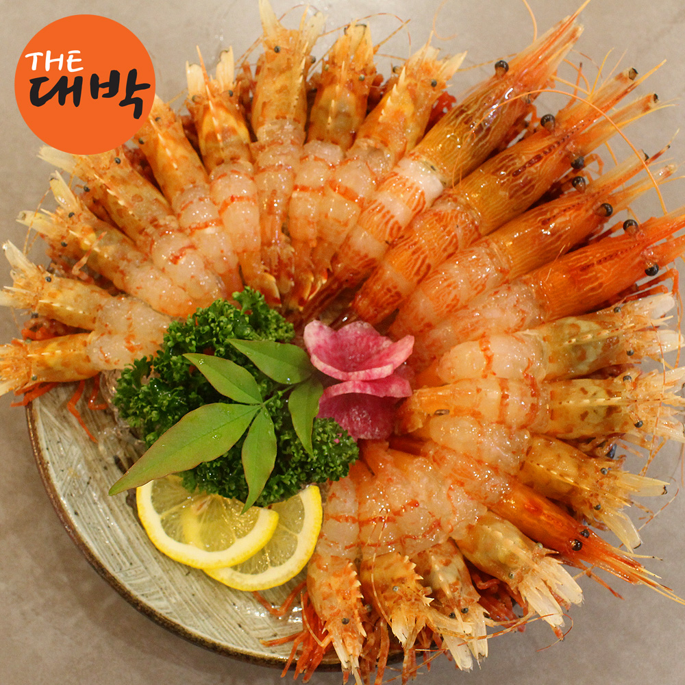 독도새우 활 독도 닭새우 500g