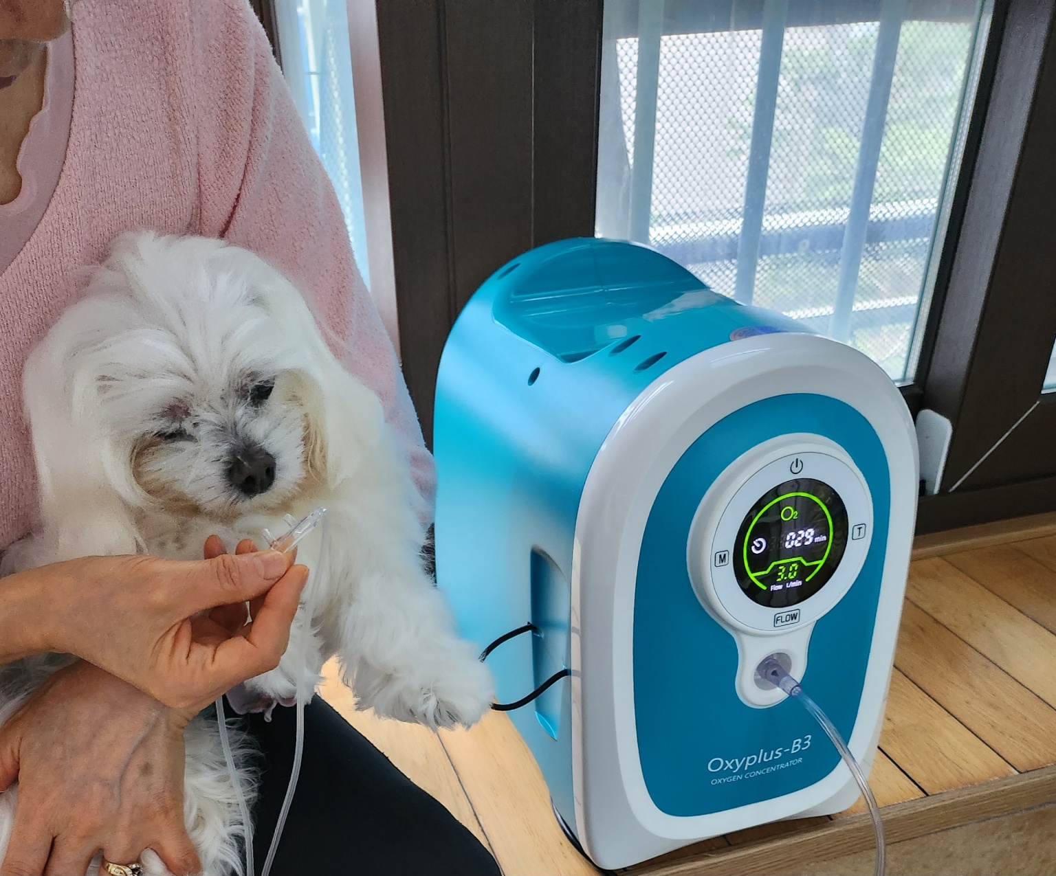 강아지산소방 의료용 산소발생기 대여 렌탈 임대 30일 무약정 - 상품 이미지