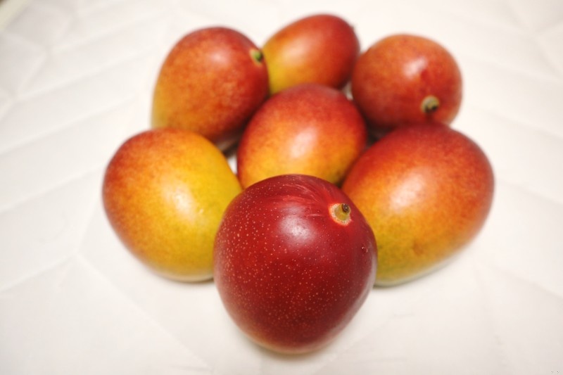 제주애플망고 특상품 선물세트 2kg ,3kg 이미지 7