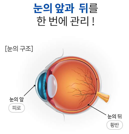 아스타잔틴 루테인 20mg 헤마토코쿠스 마리골드꽃 카로티노이드 뉴테인 류테인 60캡슐 - 상세 이미지 3