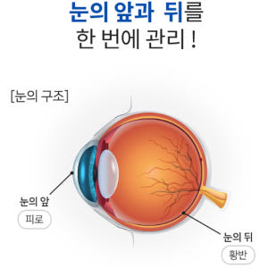 아스타잔틴 루테인 20mg 헤마토코쿠스 마리골드꽃 카로티노이드 뉴테인 류... 맛있게 먹은 솔직 후기 - 상품 이미지 3