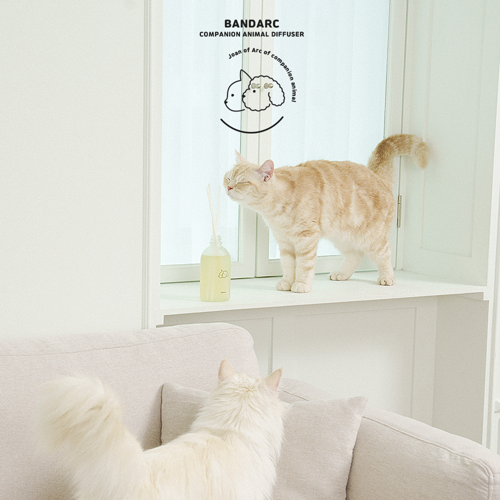 반다르크 [Original 230ml] 집사를 고려하고 반려동물을 배려한 디퓨저/강아지 고양이 디퓨저 글램벳디