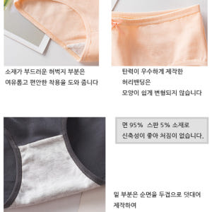 여성 6166 리본 코튼 팬티 기본 면 여자 삼각팬티 데일리 학생 모달 ... 착용 후기 | 사이즈/핏 총정리 - 상품 이미지 3