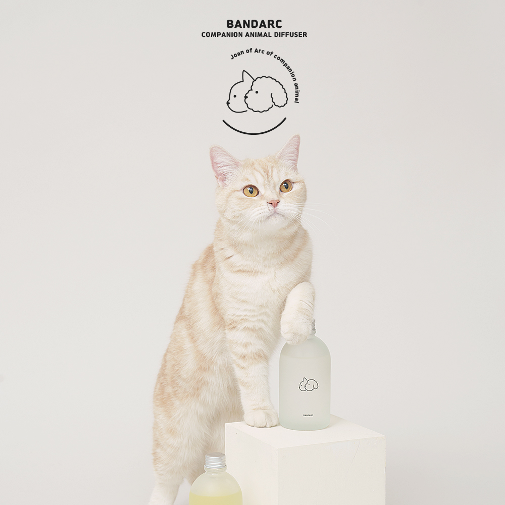 반다르크 [Original 230ml] 집사를 고려하고 반려동물을 배려한 디퓨저/강아지 고양이 디퓨저 글램벳디