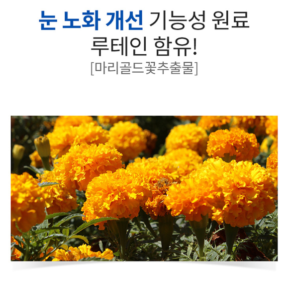 아스타잔틴 루테인 20mg 헤마토코쿠스 마리골드꽃 카로티노이드 뉴테인 류테인 60캡슐 - 상세 이미지 5