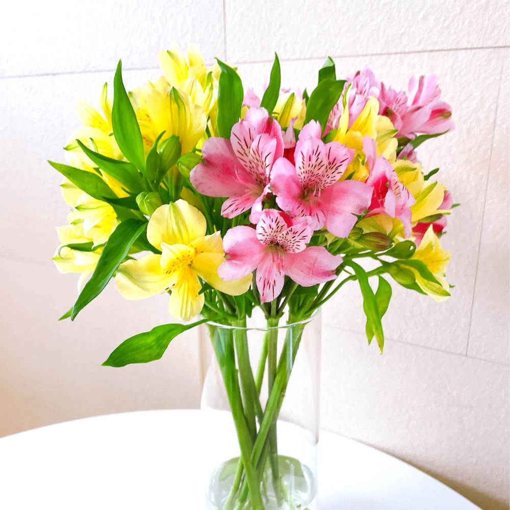 알스트로메리아 5송이 생화 꽃 택배 꽃다발 양재꽃시장 꽃배달 싼곳 선물