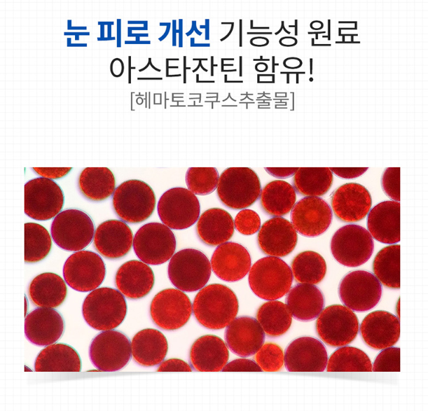 아스타잔틴 루테인 20mg 헤마토코쿠스 마리골드꽃 카로티노이드 뉴테인 류테인 60캡슐 - 상세 이미지 4
