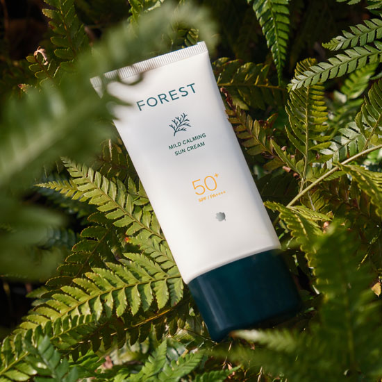 포레스트 비건 선크림 80ml+선쿠션 13g+선스틱19g (SPF 50+) 3종 세트 수분선크림 / 톤업 - 상세 이미지 2
