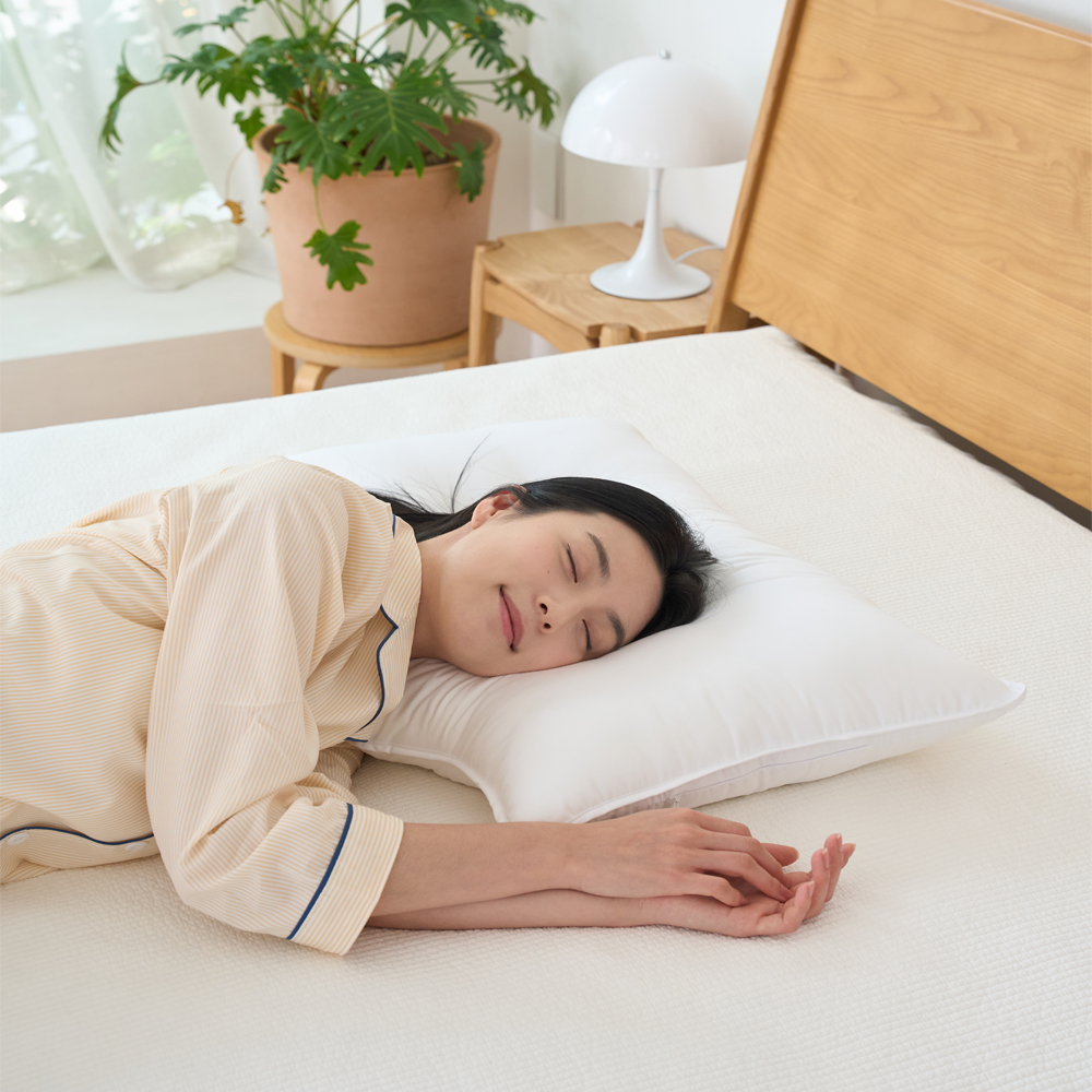 스르르 경추 목베개 낮은 꿀잠 수면 기능성 빨아쓰는 4060