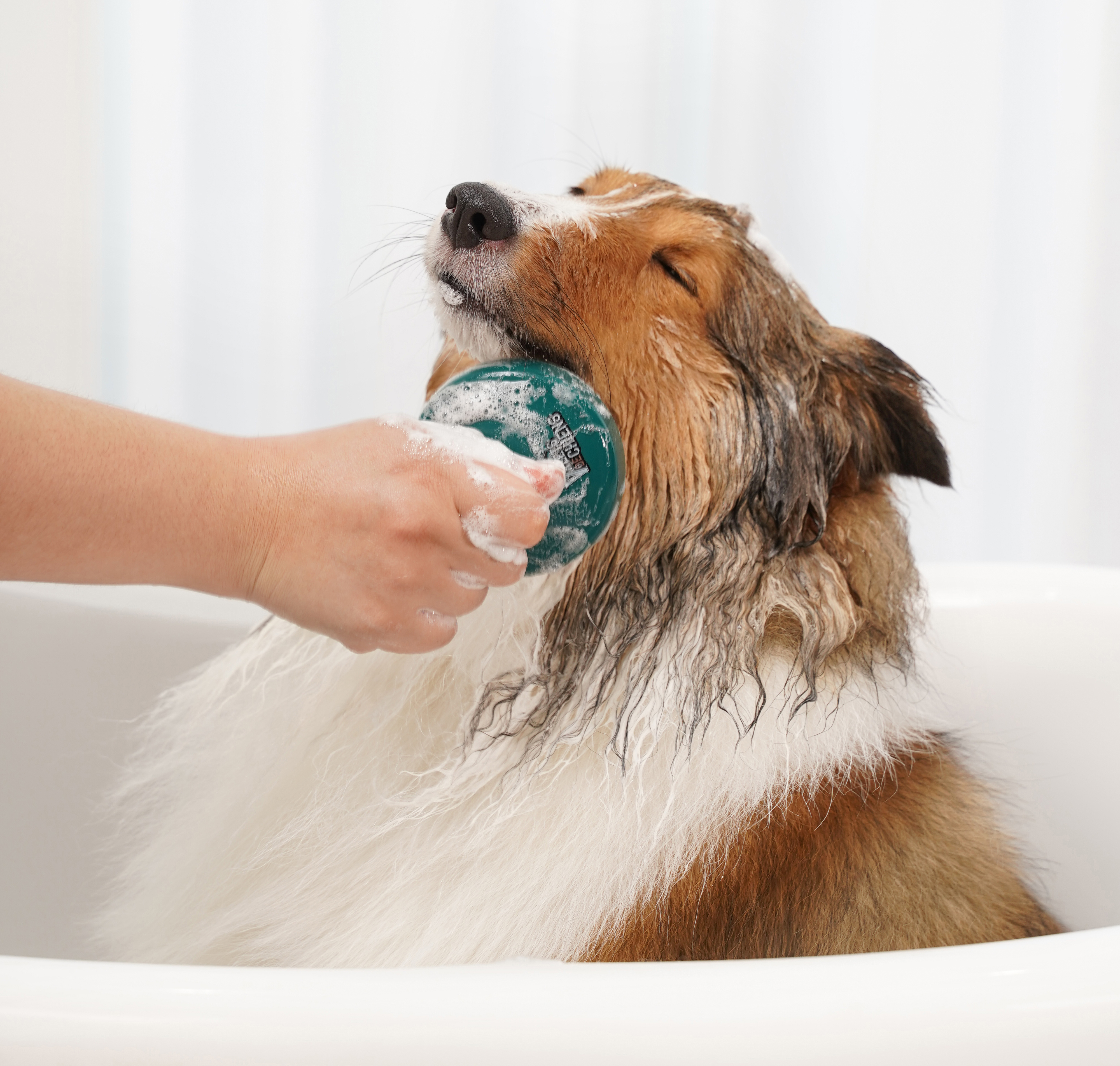 발레드샹 프리미엄 3 in 1 멀티 애견브러쉬