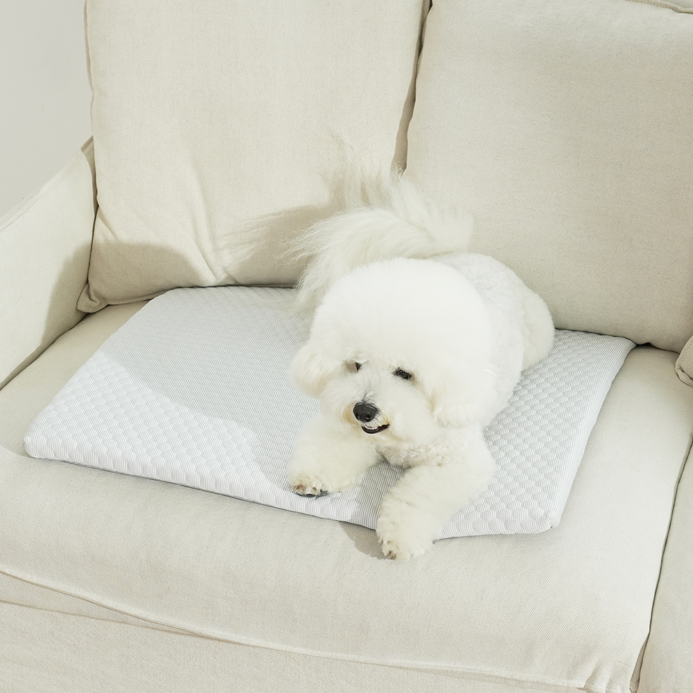 더플래 강아지 고양이 시원한 여름 쿠션 냉감 펫 방석 스노우 쿨 매트