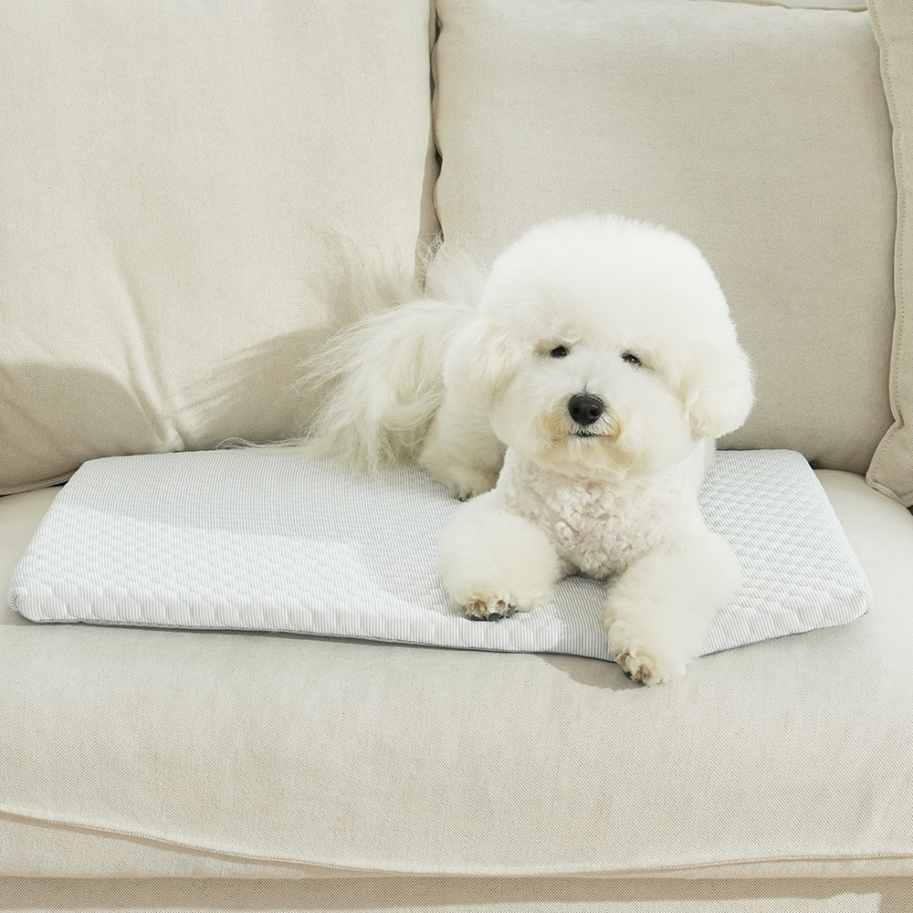 더플래 강아지 고양이 시원한 여름 쿠션 냉감 펫 방석 스노우 쿨 매트