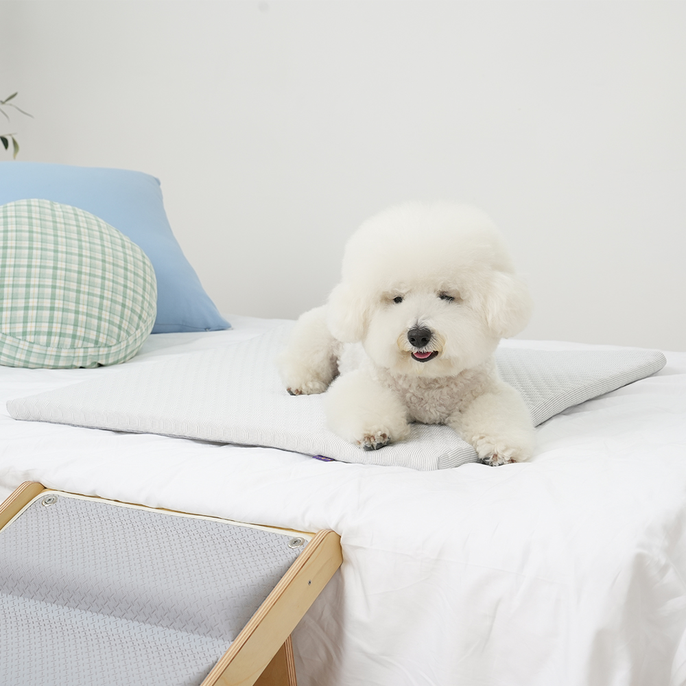 더플래 강아지 고양이 시원한 여름 쿠션 냉감 펫 방석 스노우 쿨 매트