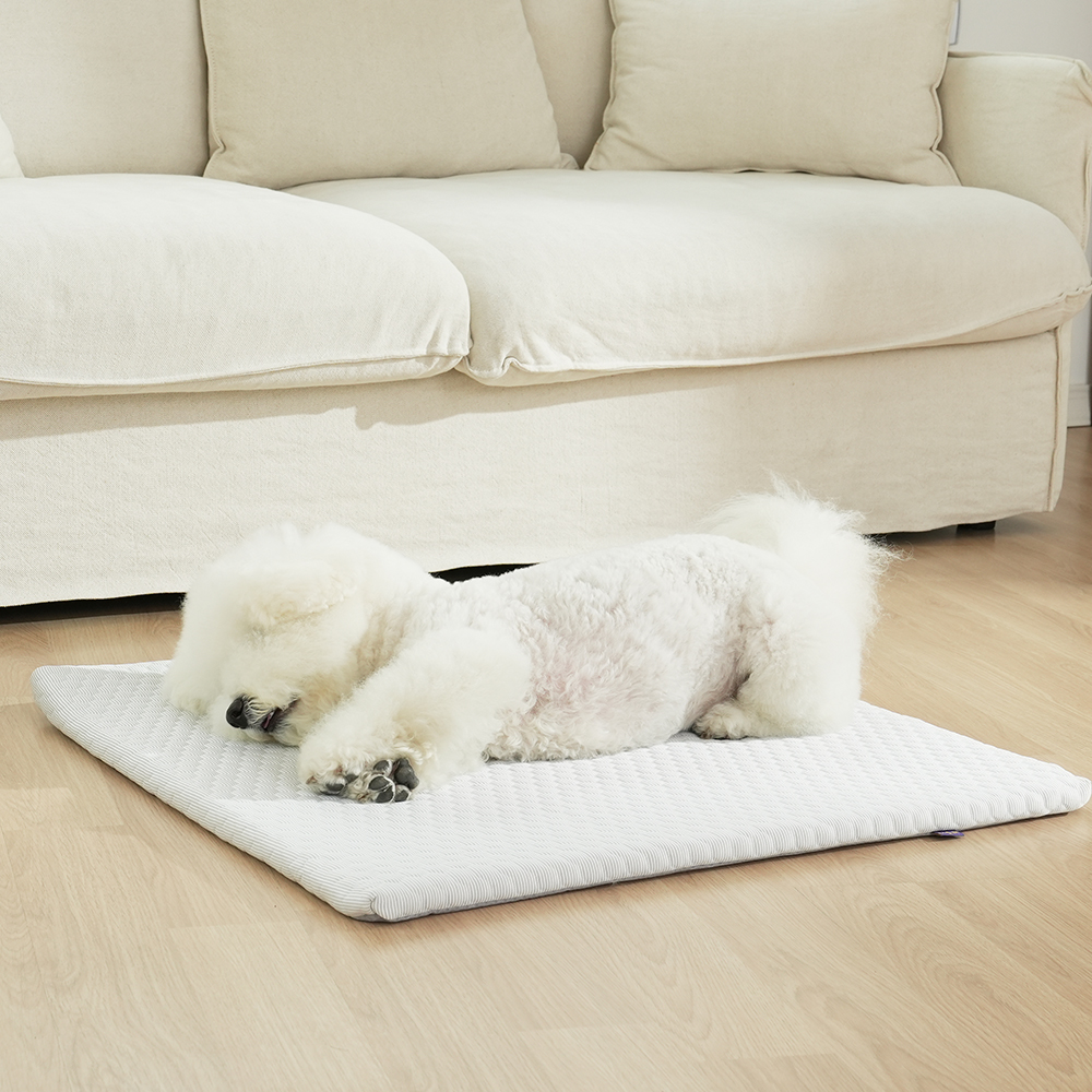 더플래 강아지 고양이 시원한 여름 쿠션 냉감 펫 방석 스노우 쿨 매트