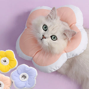 리치독스 강아지 넥카라 고양이 애견 깔대기 솔직 후기 | 실제 사용자 리뷰 총정리 - 상품 이미지 1
