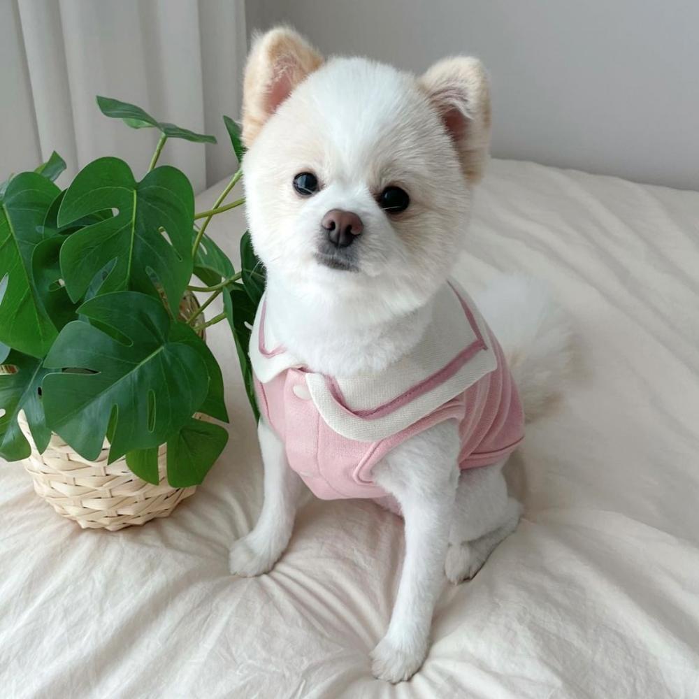 강아지 유치원복 맞춤옷 데일리 강아지옷 가디건 말티푸 세일러조끼 - 상품 이미지