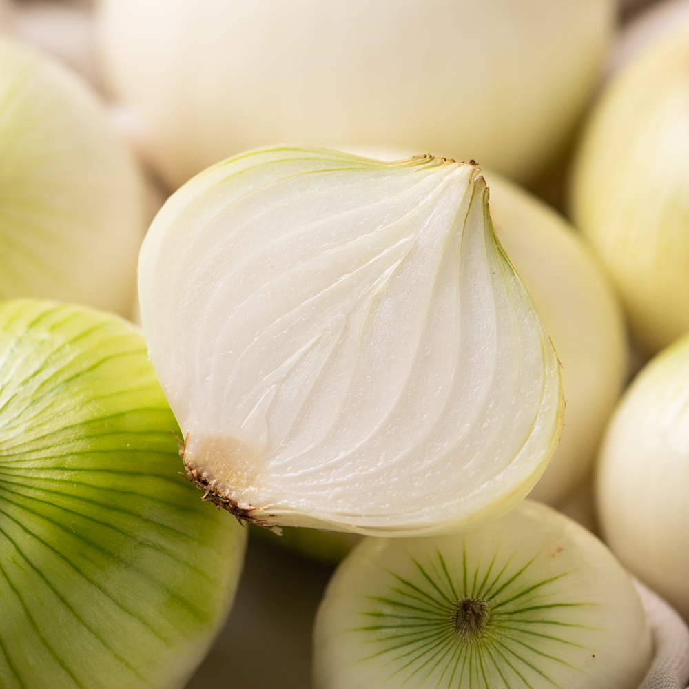 국내산 양파 3kg 5kg