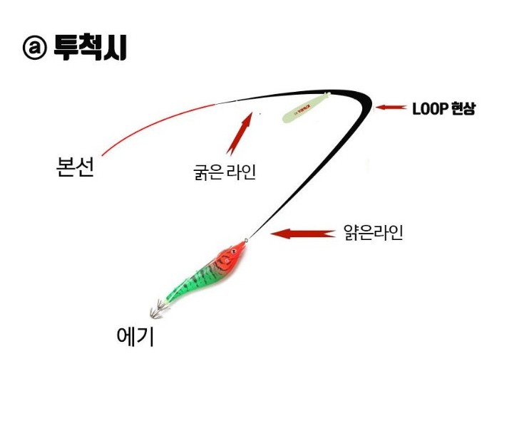 키우라 테이퍼라인 K-812 A타입 이미지 6