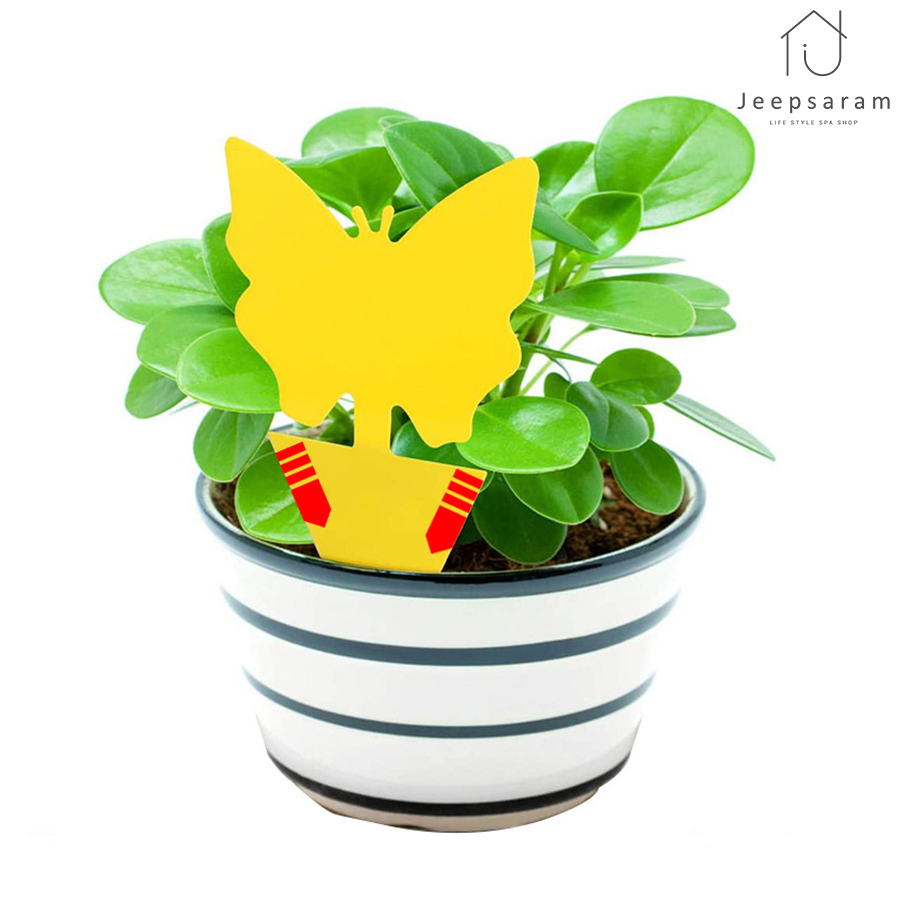 초파리 트랩 날파리 퇴치