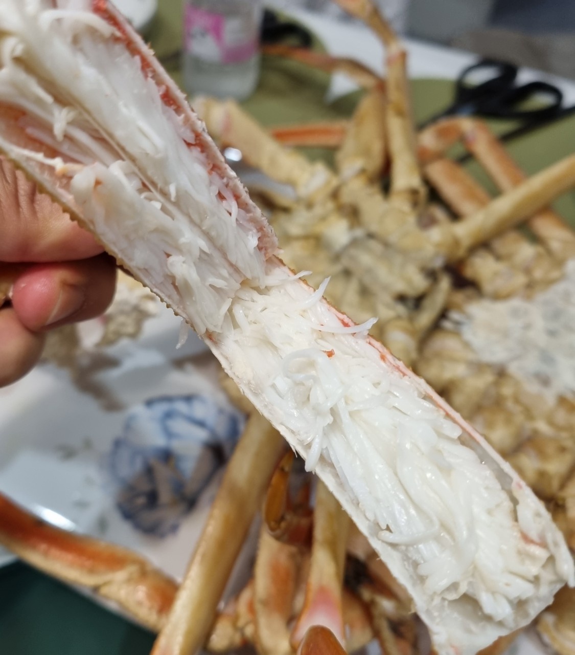 대게 박달 러시아 자숙 활 특A급 오늘특가 2kg, 1개 - 상세 이미지 2