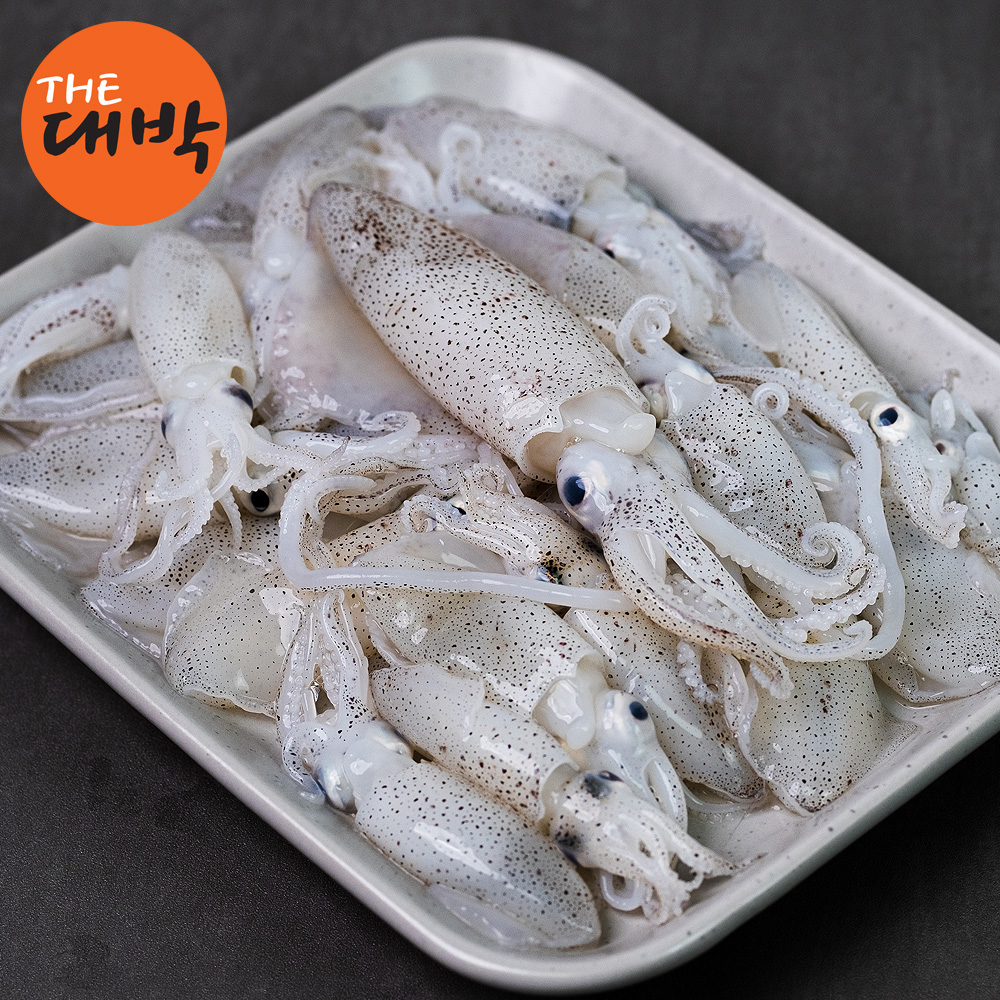 자연산 호래기 제철 꼴뚜기 생물 숙회 통찜 이미지 6