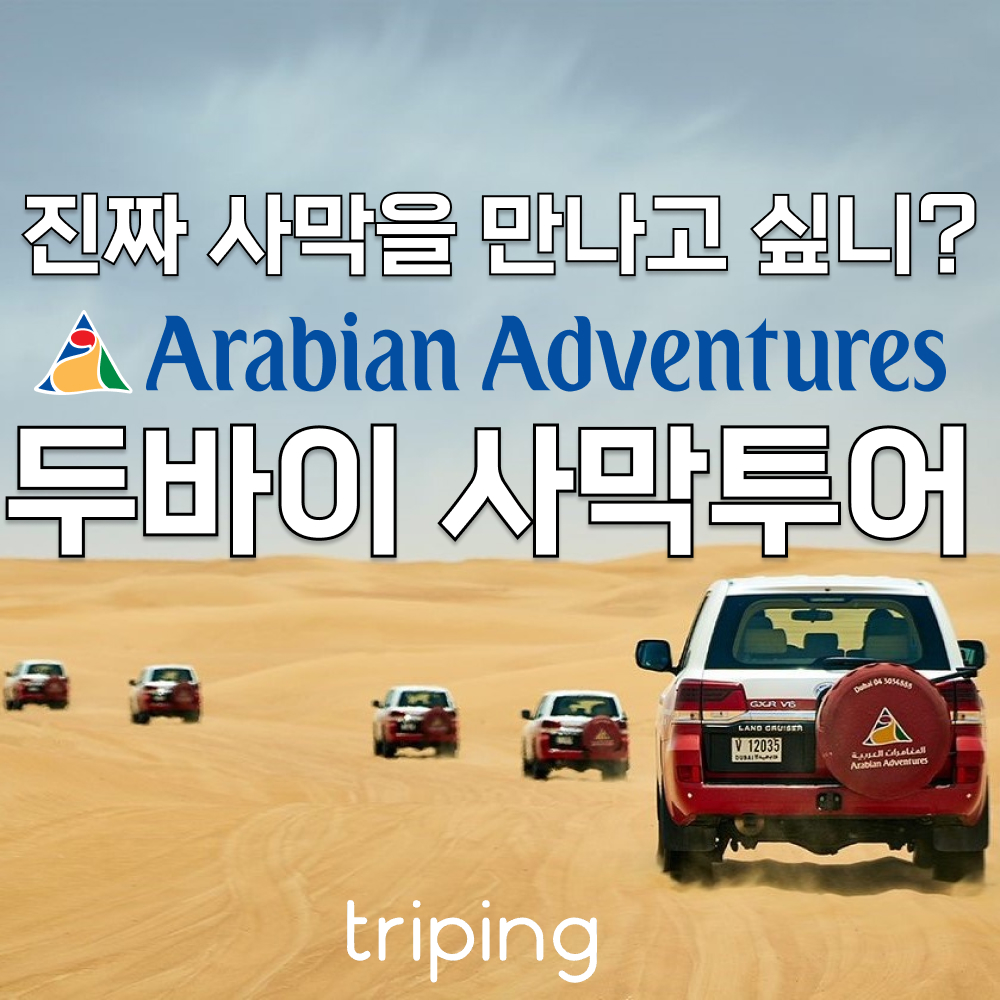 두바이 사막 투어 국영여행사 아라비안 어드벤처 사막사파리 체험 액티비티 - 상품 이미지