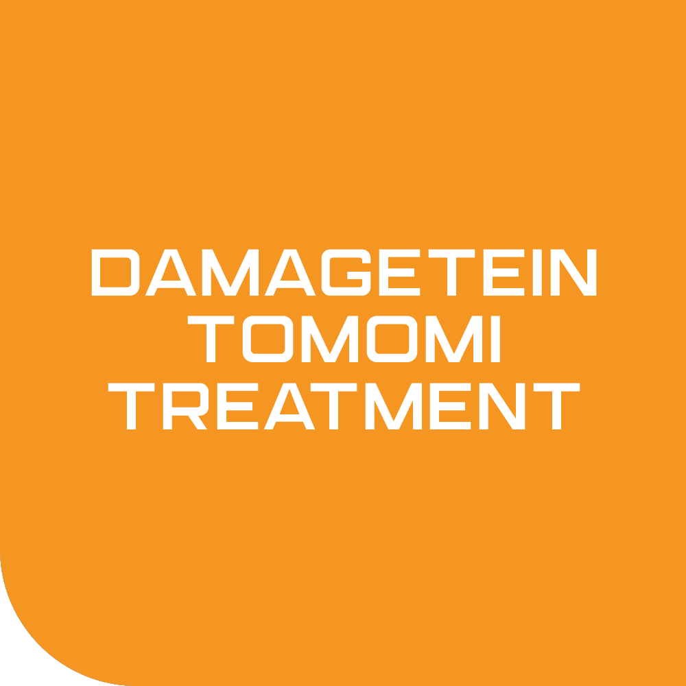 로델리아 데미지테인 토모미 상한 머리 복구 클리닉 트리트먼트 250ml 이미지 4