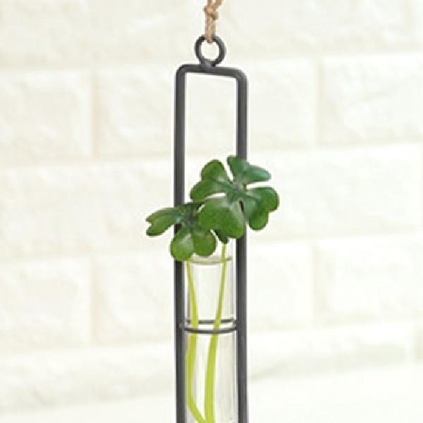 소형 공중식물 행잉 벽걸이식물 화장실식물 실내