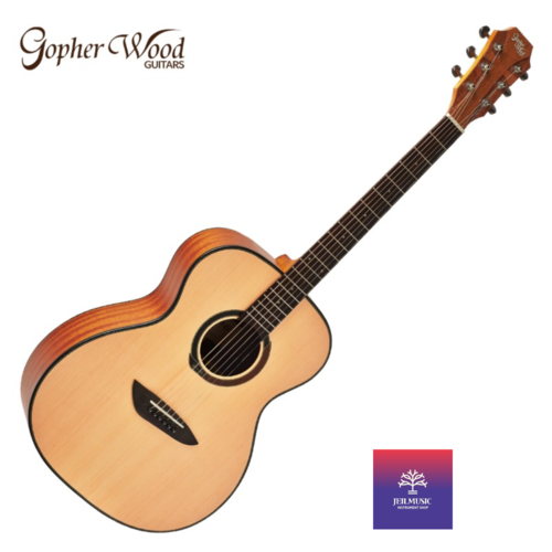 Gopherwood G110ns 고퍼우드 입문용 기타